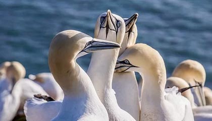 C7娱乐|青少年体育赛事v4.6.3