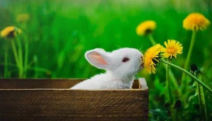 C7娱乐|水上运动赛事v6.8.2