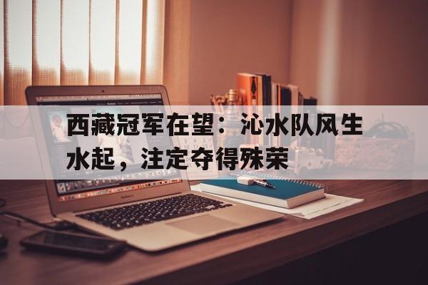 关于西藏冠军在望：沁水队风生水起，注定夺得殊荣的信息